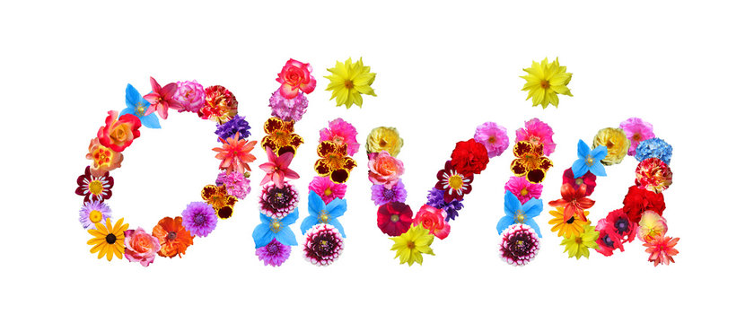 Olivia Flower Name