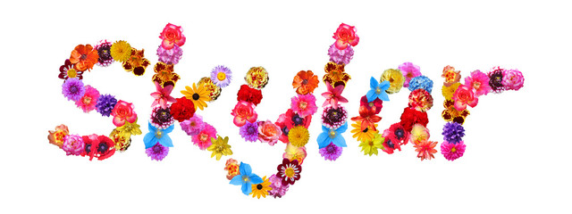 Skylar Flower Name
