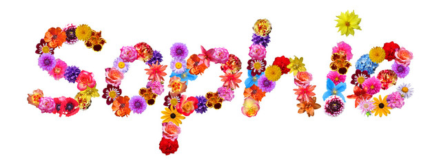 Sophie Flower Name
