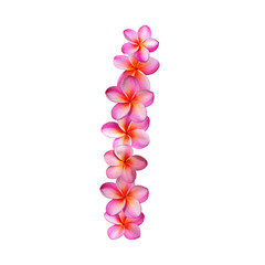 Plumeria Letter L
