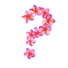 Plumeria Question Mark