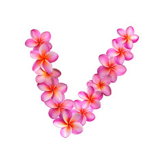 Plumeria Letter V