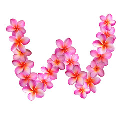 Plumeria Letter W