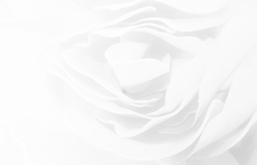 Ethereal close-up of a white rose with soft, delicate petals in a high-key, minimalist composition,...