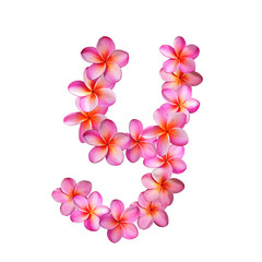 Plumeria Letter Y