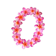 Plumeria Number 0