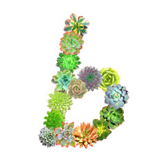 Succulent Letter B