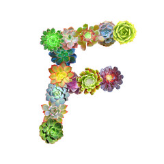 Succulent Letter F