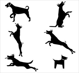 Vector - The big vector set of dog breeds  icons