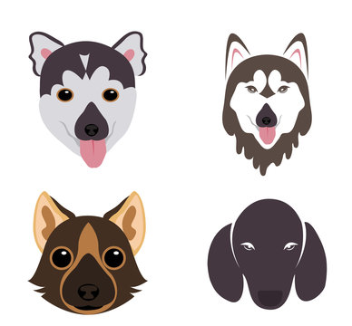 Vector - The big vector set of dog breeds  icons