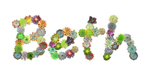 Beth Succulent Name