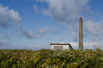 古い煙突と建物