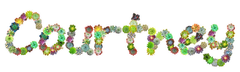 Courtney Succulent Name