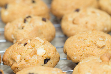 oat cookies with nuts and raisins