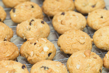 oat cookies with nuts and raisins