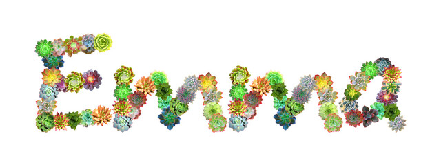 Emma Succulent Name
