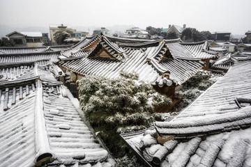 Fototapeta premium bukchon hanok village tree