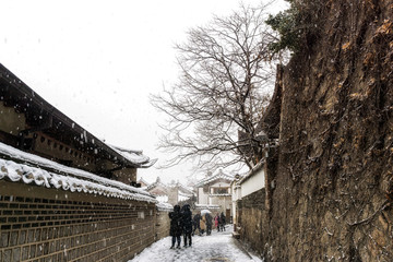 Fototapeta premium large tree in bukchon hanok village