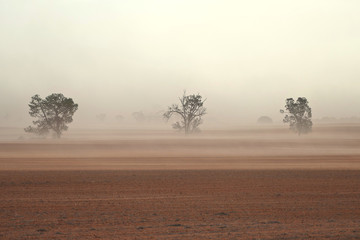 Dust storm in outback Australia on rural farm with crops in paddock in Mallee