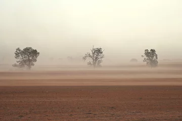 Fotobehang Dust storm in outback Australia on rural farm with crops in paddock in Mallee © Hypervision