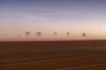 Dust storm in outback Australia on rural farm with crops in paddock in Mallee