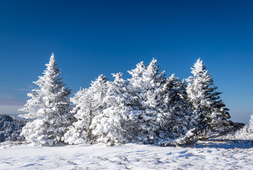 The top of Round Bald at the Roan Highlands along the Appalachian Trail after a snow storm. 