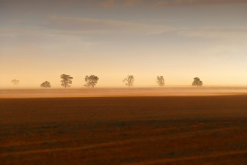 Fototapeta premium Dust storm in outback Australia on rural farm with crops in paddock in Mallee