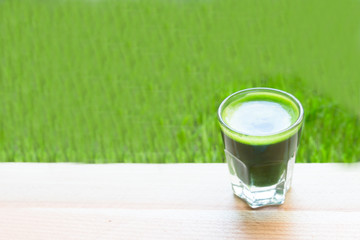 Green organic wheat grass drink over white wood background,top v