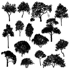 Fototapeta premium vector set of deciduous trees