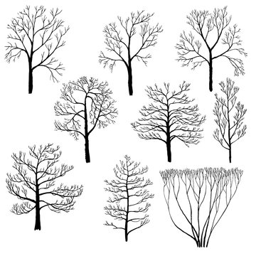 set of winter trees