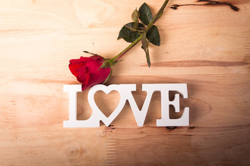 concept valentine day,red rose and white text love 