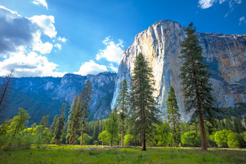 El Capitan Yosemite National Park, California, USA.  View from El Capitan Meadow. - obrazy, fototapety, plakaty