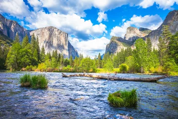 Foto auf Acrylglas Half Dome Valley View Yosemite-Nationalpark, Kalifornien, USA. Ein umgestürzter Baum und Felsen am Merced River.