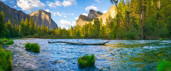 Panorama Valley View Yosemite National Park, California, USA.  A fallen tree on the Merced River.