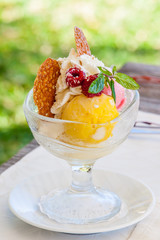 coupe de glaces 
