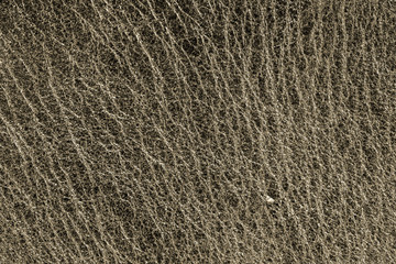 Leather texture background for fashion, furniture or interior concept design.