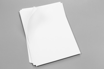 Blank portrait A4. brochure magazine isolated on gray, changeable background / white paper isolated...