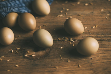 Group Of Eggs on Sawdust