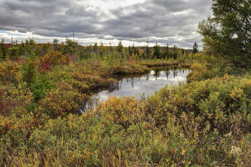 Overcast morning Hanson Creek, National Hiawatha Forest lit up b