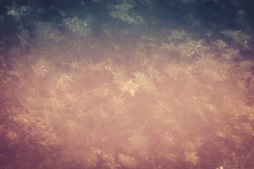 Fresh Snow Macro Retro