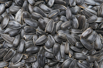 surface of the heap of dry black sunflower seeds