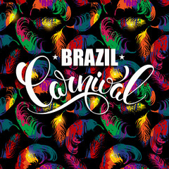 Fototapeta na wymiar Brazil Carnival lettering design on a bright background with abstract feathers.