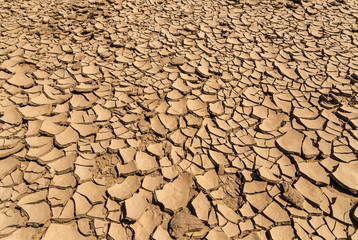 Detail dry cracked ground texture summer season