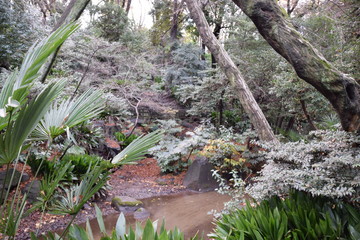 名主の滝公園　自然
