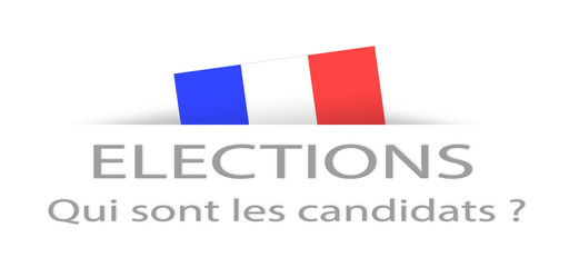 Elections and candidate in French with a part hidden french flag