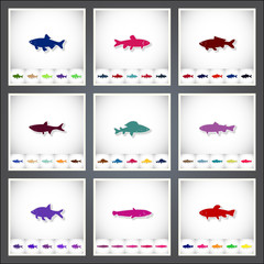 Obraz na płótnie Canvas Freshwater fish. A set of flat stickers with shadow on white background