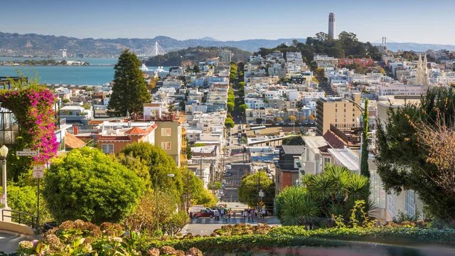 San Francisco Lombard street. Sunny day timelapse. America. USA. California