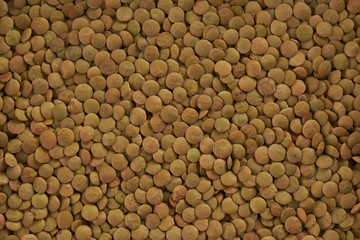 Lentil closeup top view background. Healthy protein food