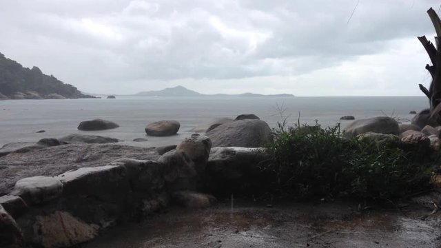 tropical rain on Samui island