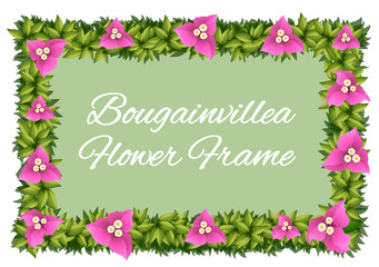 Bougainvillea flowers as frame design